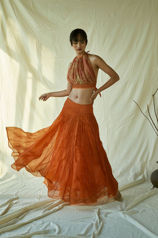 Silk Organza Skirt